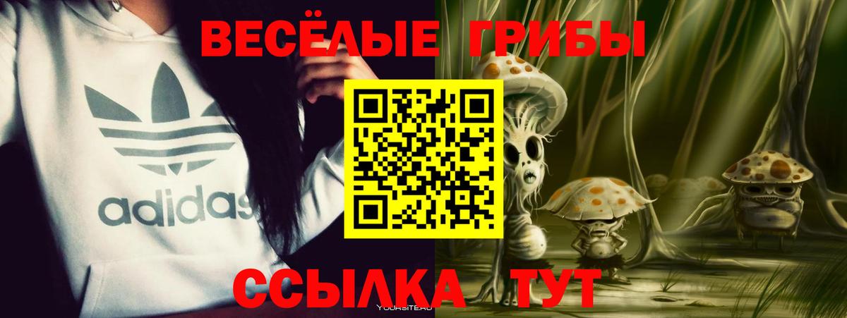 Галлюциногенные грибы мухоморы Пенза